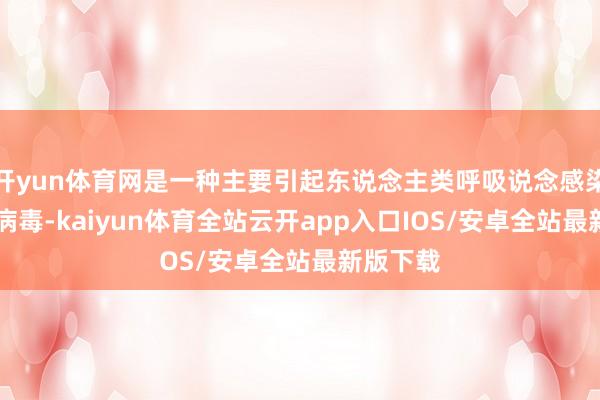 开yun体育网是一种主要引起东说念主类呼吸说念感染的RNA病毒-kaiyun体育全站云开app入口IOS/安卓全站最新版下载
