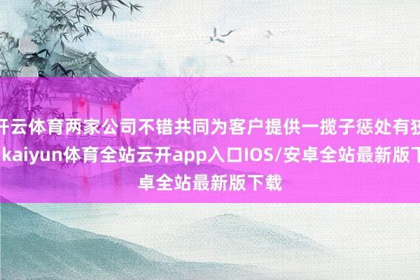 开云体育两家公司不错共同为客户提供一揽子惩处有狡计-kaiyun体育全站云开app入口IOS/安卓全站最新版下载