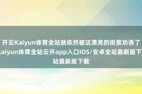 开云Kaiyun体育全站就依然被这漂亮的街景劝诱了-kaiy