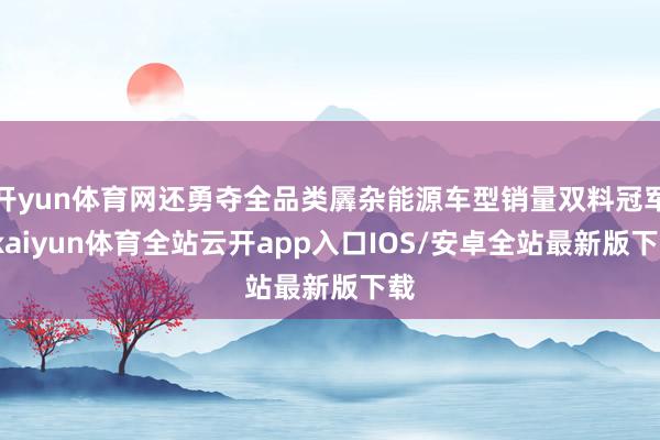 开yun体育网还勇夺全品类羼杂能源车型销量双料冠军-kaiyun体育全站云开app入口IOS/安卓全站最新版下载