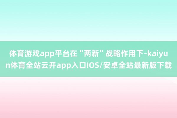 体育游戏app平台在“两新”战略作用下-kaiyun体育全站