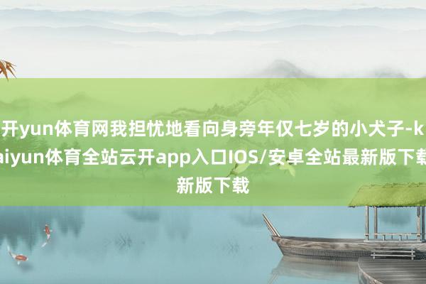 开yun体育网我担忧地看向身旁年仅七岁的小犬子-kaiyun