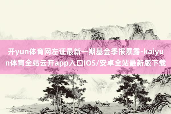 开yun体育网左证最新一期基金季报暴露-kaiyun体育全站