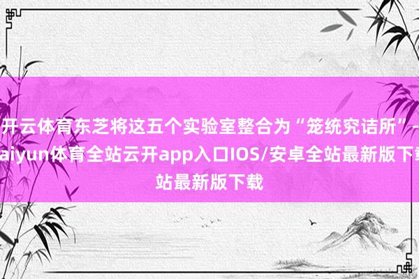 开云体育东芝将这五个实验室整合为“笼统究诘所”-kaiyun