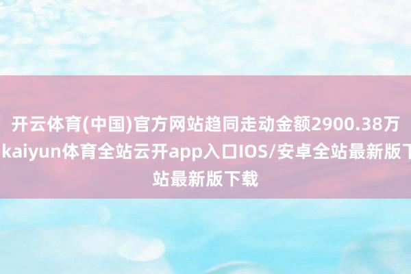 开云体育(中国)官方网站趋同走动金额2900.38万元-ka