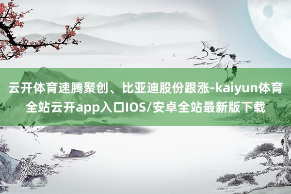 云开体育速腾聚创、比亚迪股份跟涨-kaiyun体育全站云开app入口IOS/安卓全站最新版下载