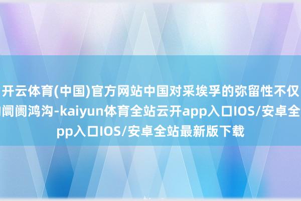 开云体育(中国)官方网站中国对采埃孚的弥留性不仅在于其巨大的
