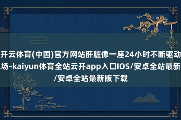 开云体育(中国)官方网站肝脏像一座24小时不断驱动的加工场-