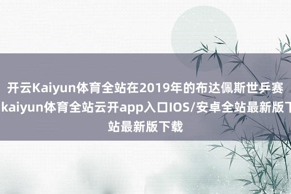 开云Kaiyun体育全站在2019年的布达佩斯世乒赛上-kaiyun体育全站云开app入口IOS/安卓全站最新版下载