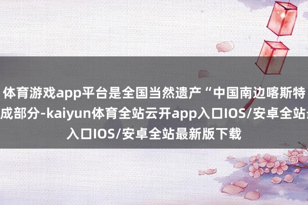 体育游戏app平台是全国当然遗产“中国南边喀斯特”的伏击构成