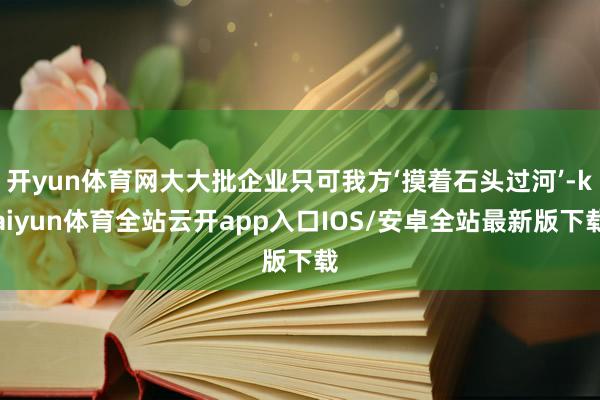 开yun体育网大大批企业只可我方‘摸着石头过河’-kaiyun体育全站云开app入口IOS/安卓全站最新版下载