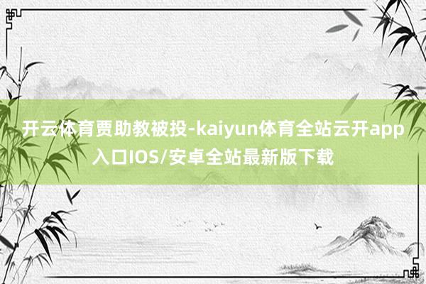 开云体育贾助教被投-kaiyun体育全站云开app入口IOS/安卓全站最新版下载