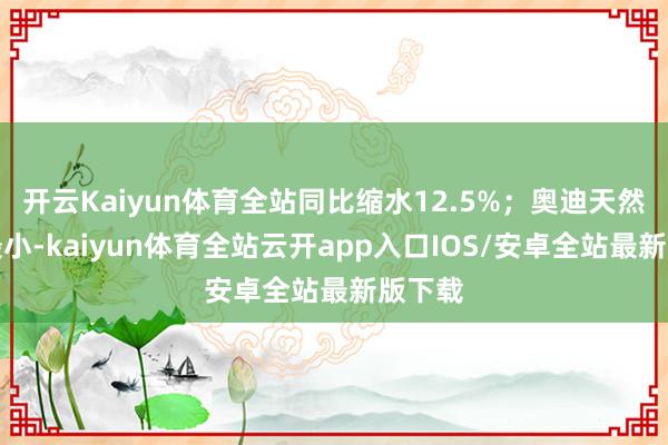 开云Kaiyun体育全站同比缩水12.5%;奥迪天然跌幅最小-kaiyun体育全站云开app入口IOS/安卓全站最新版下载